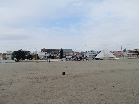 pipu21677.jpg