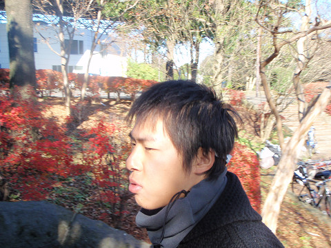 pipu0746.jpg