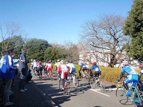 pipu0777.jpg