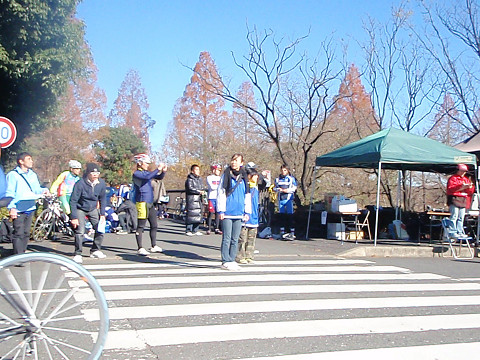 pipu0778.jpg
