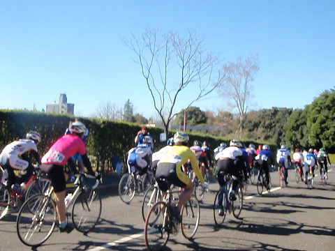pipu0922.jpg