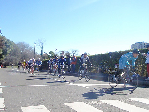 pipu0938.jpg
