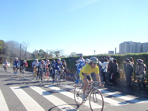 pipu0953.jpg